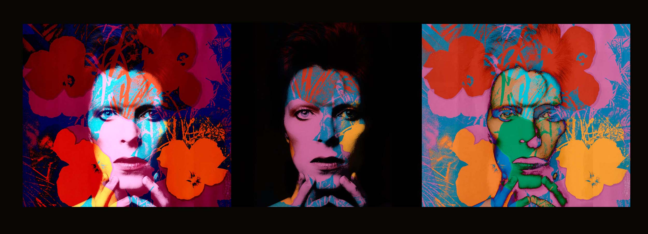 Bowie Flower Power Triptych